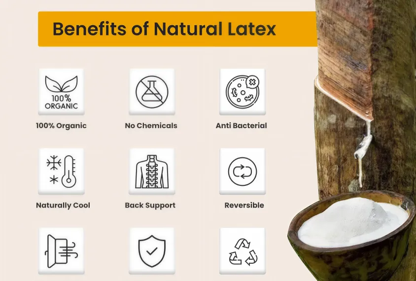 Natural Latex Mattress